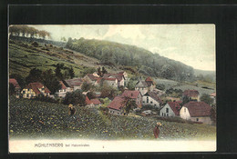 AK Mühlenberg Bei Holzminden, Panoramablick Von Der Feldwiese - Holzminden