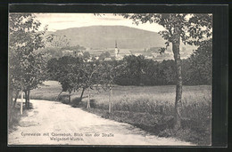 AK Cunewalde, Blick Von Der Strasse Weigsdorf-Wurbis Auf Ort Und Czorneboh - Cunewalde
