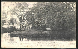 AK Bad Oldesloe, Die Bürgermeister-Insel - Bad Oldesloe