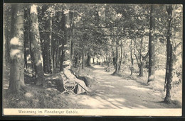 AK Pinneberg, Der Wasserweg Im Gehölz - Pinneberg