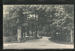 AK Bad Oldesloe, Blick In Den Bürgerpark - Bad Oldesloe