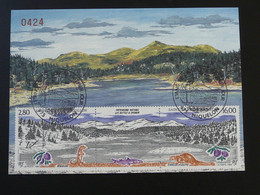 Carte Maximum Card Patrimoine Naturel étang De La Loutre Saint Pierre Et Miquelon 1993 - Cartes-maximum