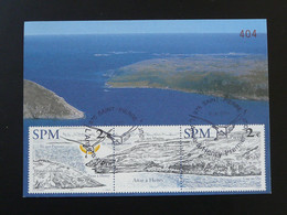 Carte Maximum Card Anse à Henry Saint-Pierre Et Miquelon 2002 - Cartes-maximum