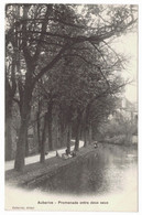 52 - AUBERIVE - Promenade Entre Deux Eaux - 1904 - Auberive