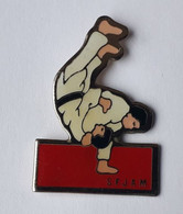 QQ120 Pin's Judo SFJAM Société Française Judo Arts Martiaux à Sagy Val-d'Oise Cartouche Rouge Version 2 Achat Immédiat - Judo