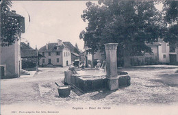 Begnins VD, Les Lavandières à La Fontaine Place Du Tilleul (3252) - Begnins