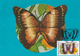 A9036- MORPHO ACHILLEANA BUTTERFLY, PRONATURE CLUJ NAPOCA 1992 ROMANIA, MAX CARD USED STAMP ON COVER POSTCARD - Vlinders