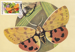 A9040- RHYPARIA PURPURATA BUTTERFLY, PRONATURE CLUJ NAPOCA 1992 ROMANIA, MAX CARD USED STAMP ON COVER POSTCARD - Vlinders