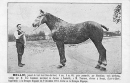 CPA 22 BELLIC JUMENT DE TRAIT DES COTES DU NORD ELIE COMAUT MARCHAND DE CHEVAUX A LAMBALLE - Altri & Non Classificati