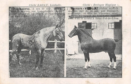 CPA 22 LAMBALLE CHEVAUX DE COURSE THE GENERAL ET DENMARK VIGOROUS - Otros & Sin Clasificación