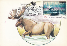 A9050- MOOSE ELK ALCES CLUJ NAPOCA 1993 MAX CARD ROMANIA  USED STAMP ON BACK - Andere & Zonder Classificatie