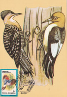 A9060- RED HEADED WOODPECKER BIRD PRONATURE CLUJ NAPOCA 1992 MAX CARD ROMANIA  USED STAMP - Andere & Zonder Classificatie