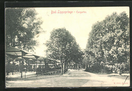 AK Bad Lippspringe, Blick Auf Den Curgarten - Bad Lippspringe