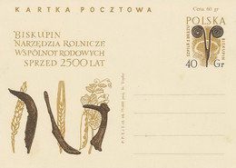Poland Postcard Cp 259: Biskupin Archaeological Excavations Agricultural Tools - Interi Postali