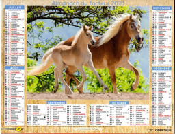 Calendrier Almanach La Poste PTT 2021 Chevaux Jument Et Poulain Haflinger Et Cheval Frison - Grand Format : 2001-...