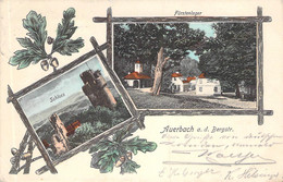 Auerbach A. D. Bergstrasse Mehrbild 1905 - Bensheim