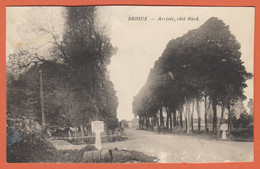 D79 - BRIOUX - ARRIVÉE - CÔTÉ NORD - Chevaux - Brioux Sur Boutonne