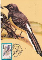 A9063- WHITE-RUMPED SHAMA BIRD PRONATURE CLUJ NAPOCA 1992 MAX CARD ROMANIA  USED STAMP - Andere & Zonder Classificatie