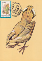 A9070- SCALLY GROUND ROLLER BIRD PRONATURE CLUJ NAPOCA 1992 ROMANIA MAXIMUM CARD USED STAMP - Andere & Zonder Classificatie