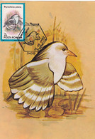 A9076- RHINOCHETOS JUBATUS KAGU BIRD PRONATURE CLUJ NAPOCA 1992 ROMANIA MAXIMUM CARD USED STAMP - Andere & Zonder Classificatie