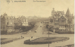 3 COQ-SUR-MER - DEN HAAN AAN ZEE : Vue Panoramique - Cachet De La Poste 1949 - De Haan