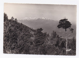 CP153 - ROUSSILLON - LE MASSIF DU CANIGOU VU DE FONTFREDE - Roussillon