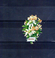 Petit Bouquet Haut. 40mm - Fleurs