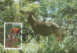 Zaire Maximumkaart WWF Okapi (2093) - 1980-1989