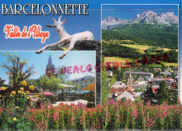 04- BARCELONNETTE - CARREFOUR TOURISTIQUE DE LA VALLEE DE L' UBAYE - Barcelonnette
