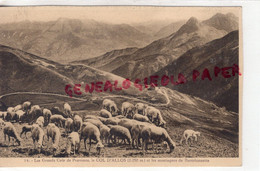 04 - COL D' ALLOS ET LES MONTAGNES DE BARCELONNETTE - Other & Unclassified