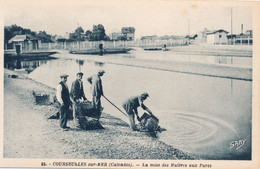 (CPA 14)  COURSEULLES-sur-MER  /  La Mise Des Huitres Aux Parcs - - Courseulles-sur-Mer