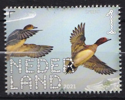 Nederland - Beleef De Natuur - 22 Februari 2021 - De Onlanden - Smient - MNH - Canards