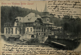 Suisse (ZG) Zürich // Gruss Vom Waldhaus Dolder 1901 - Wald