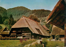 CPSM Schwarzwälder Freilichtmuseum Vogtsbauernhof-Gutachtal-Beau Timbre    L708 - Gutach (Schwarzwaldbahn)