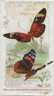 Chromo Aiguebelle 11,5 X 6.5 - Le Monde Des Insectes - Papillons - Aiguebelle