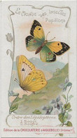 Chromo Aiguebelle 11,5 X 6.5 - Le Monde Des Insectes - Papillons - Aiguebelle