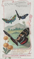 Chromo Aiguebelle 11,5 X 6.5 - Le Monde Des Insectes - Papillons - Aiguebelle