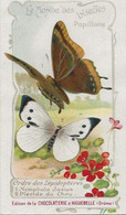 Chromo Aiguebelle 11,5 X 6.5 - Le Monde Des Insectes - Papillons - Aiguebelle