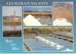 44 - Batz Sur Mer - Les Marais Salants - Multivues - Batz-sur-Mer (Bourg De B.)