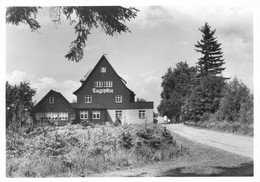 DDR AK Um 1983, Fremdenhof Cafe Zugspitze, Waldidylle Erzgebirge - Kipsdorf