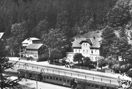 DDR AK Um 1982, Kipsdorf, Konditorei Cafe Pietsch, Gleise, Waggons Reichsbahn DR - Kipsdorf