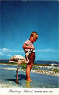 CPM AK Flamingo Island BONAIRE (750216) - Bonaire