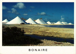 CPM AK Netherlands Antilles BONAIRE (750245) - Bonaire