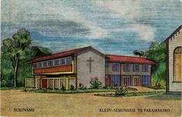 CPM AK Klein-Seminarie Te PARAMARIBO SURINAME (750449) - Surinam