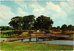 CPM AK Floral Gardens Of The Open Air Museum SURINAME (750461) - Surinam