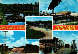 CPM AK Greetings From Suriname SURINAME (750487) - Surinam
