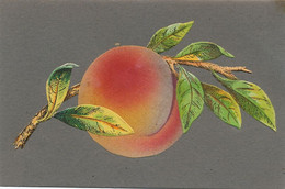 Carte Velours Velvet Card Peach Peche - Sonstige & Ohne Zuordnung