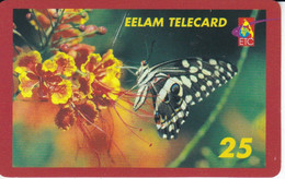 TARJETA DE HOLANDA DE UNA MARIPOSA   (BUTTERFLY) - Mariposas