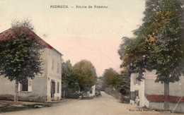 42 Riorges Route De Roanne - Riorges