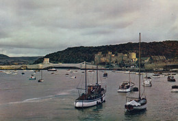 Postcard Conway From Marine Walk [ Conwy ] Castle On Right My Ref B24845MD - Caernarvonshire